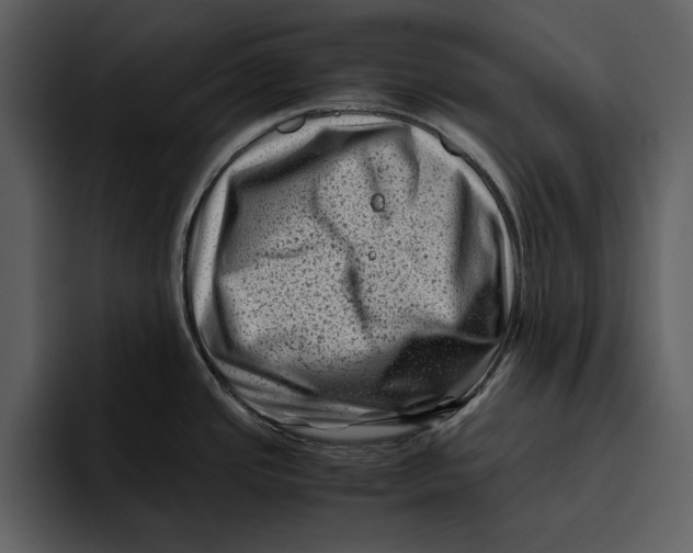 X0000095691437200801291208