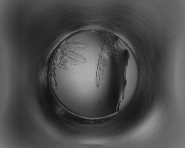 X0000095691438200801291208