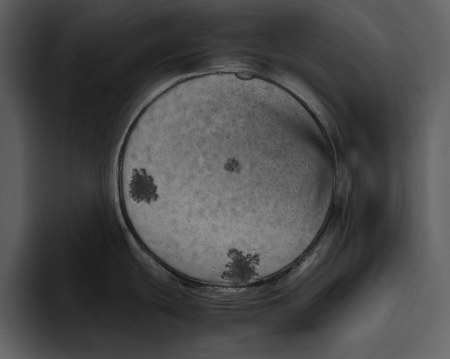 X0000095691439200801291208