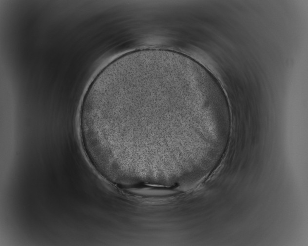 X0000095691440200801291208