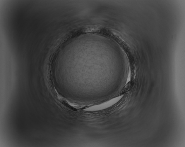 X0000095691441200801291208