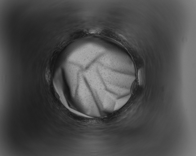 X0000095691443200801291208