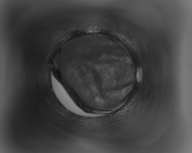 X0000095691444200801291208