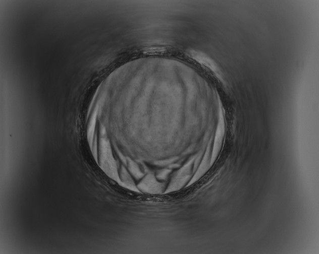 X0000095691445200801291208