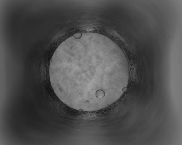 X0000095691446200801291207