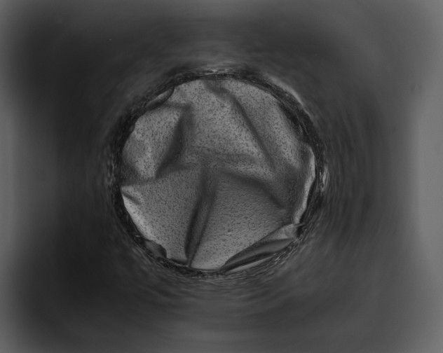 X0000095691447200801291207