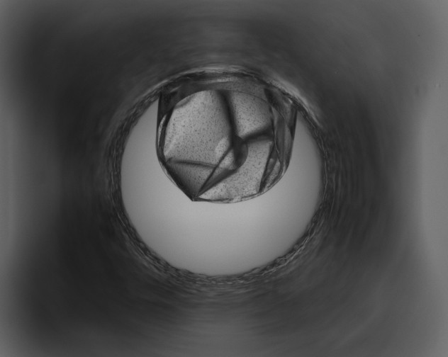 X0000095691448200801291207