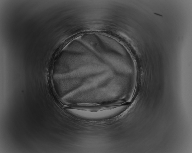 X0000095691449200801291207