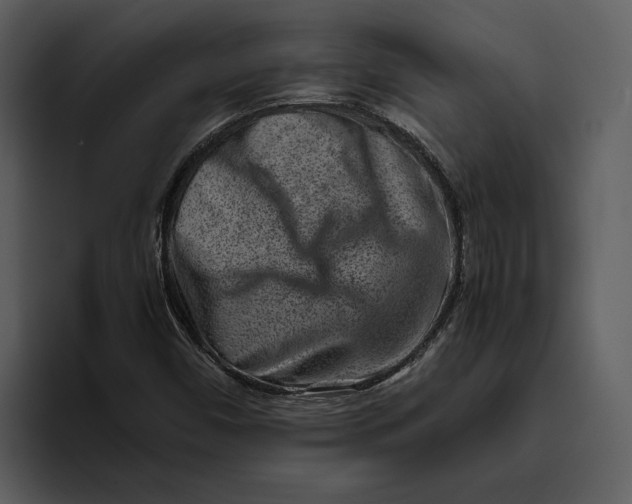 X0000095691450200801291207