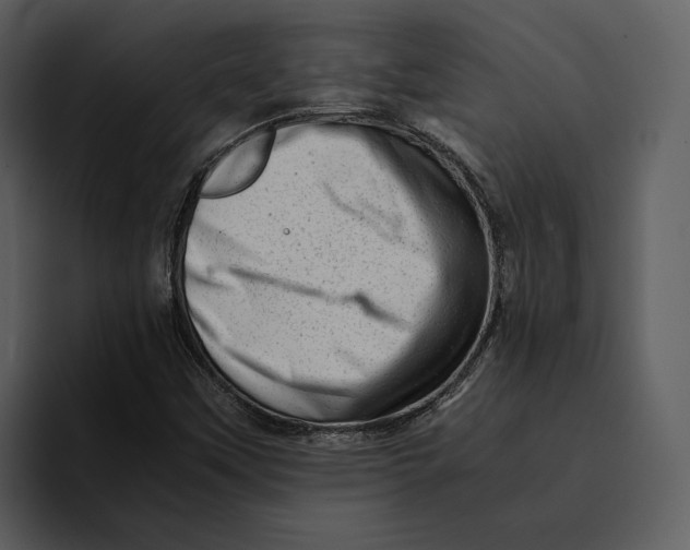 X0000095691451200801291207