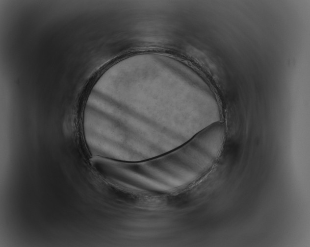 X0000095691453200801291207