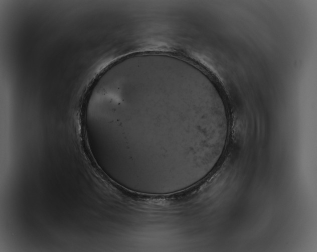 X0000095691455200801291207