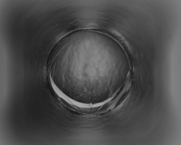 X0000095691457200801291207