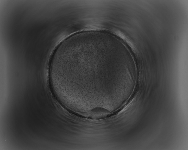 X0000095691459200801291207