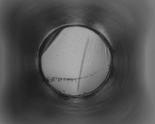 X0000095691460200801291207