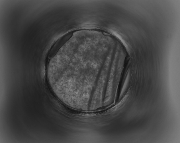 X0000095691461200801291207