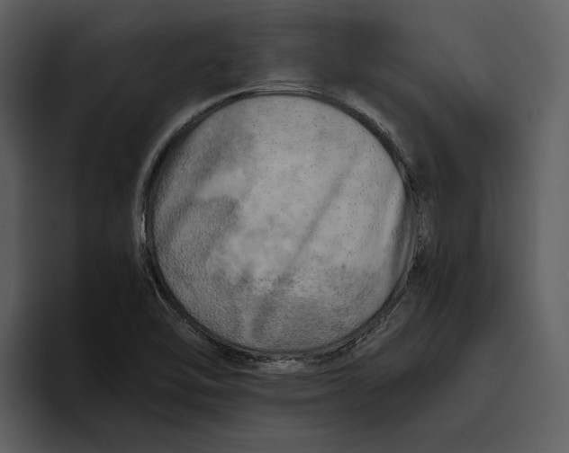 X0000095691462200801291207