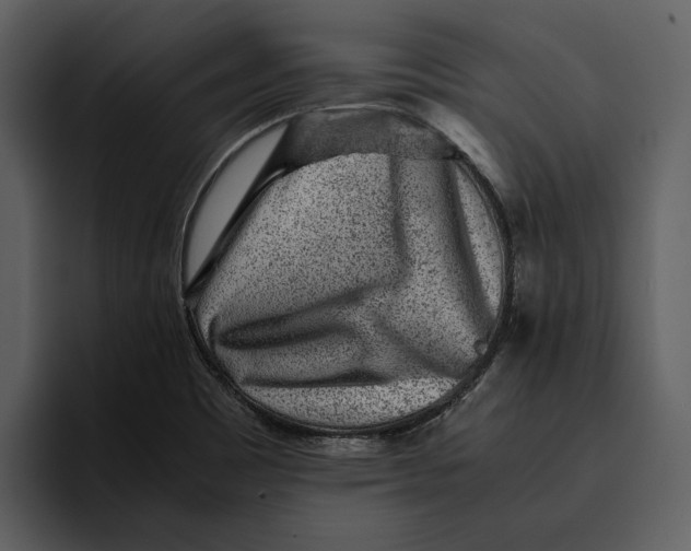 X0000095691465200801291207