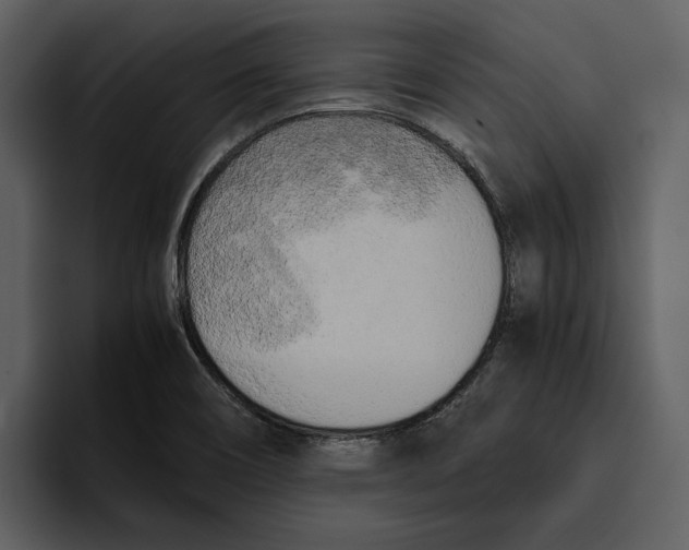 X0000095691466200801291207