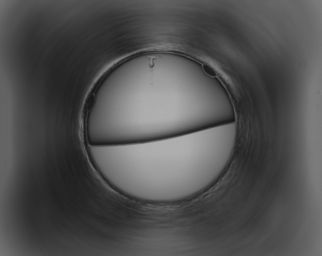 X0000095691468200801291207