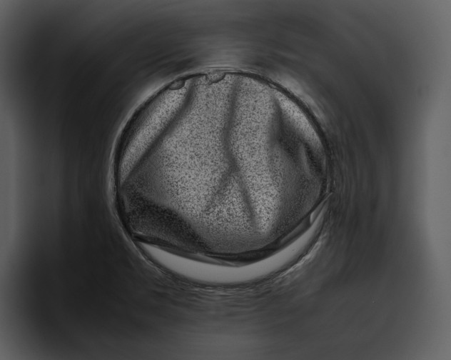 X0000095691469200801291207