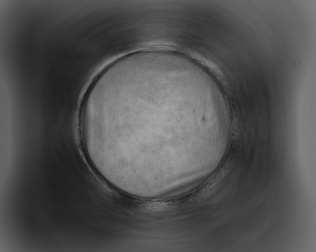 X0000095691470200801291207