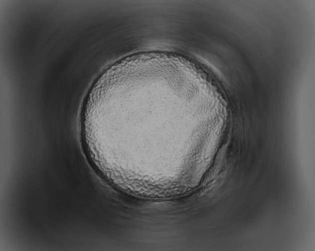 X0000095691471200801291207