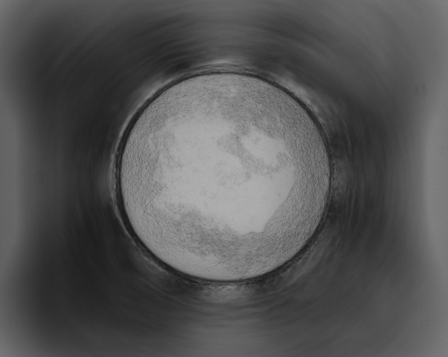 X0000095691474200801291207