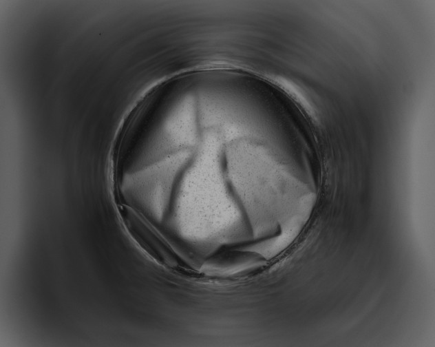 X0000095691476200801291207