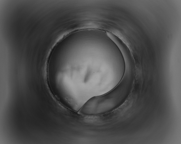 X0000095691477200801291207