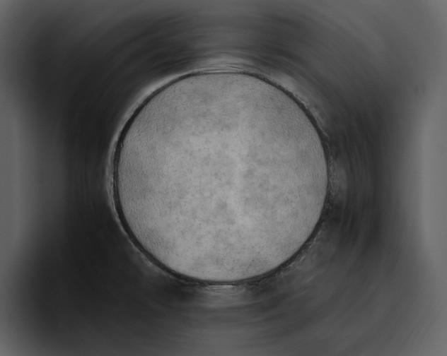 X0000095691478200801291207