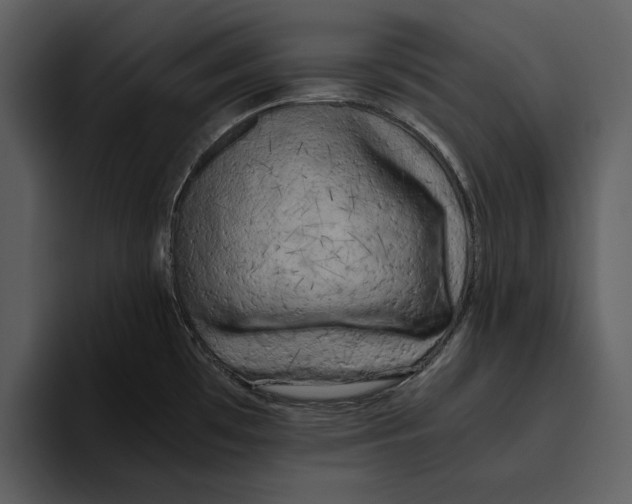 X0000095691481200801291207