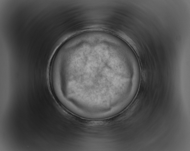 X0000095691482200801291207