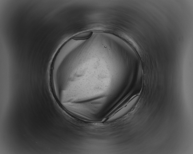 X0000095691483200801291207