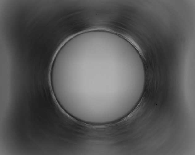 X0000095691484200801291207