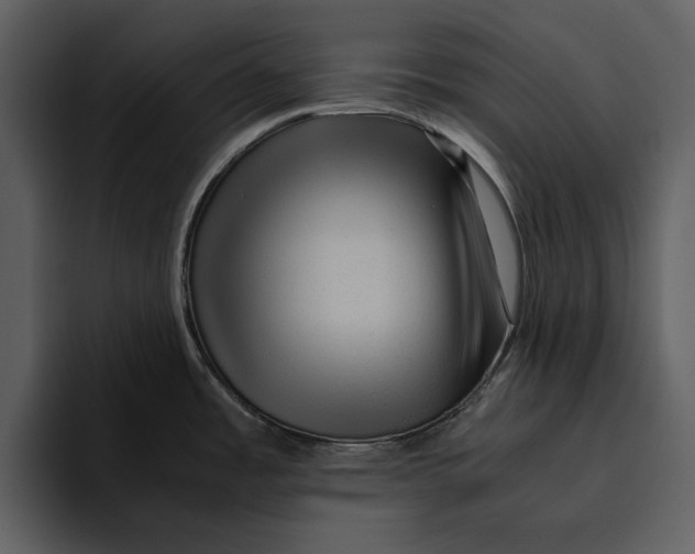 X0000095691485200801291207