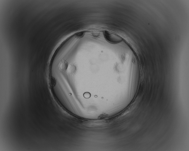 X0000095691486200801291207