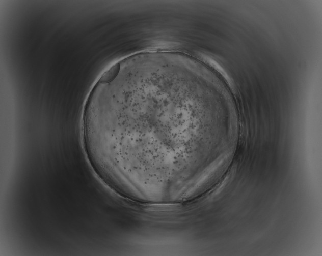 X0000095691487200801291207