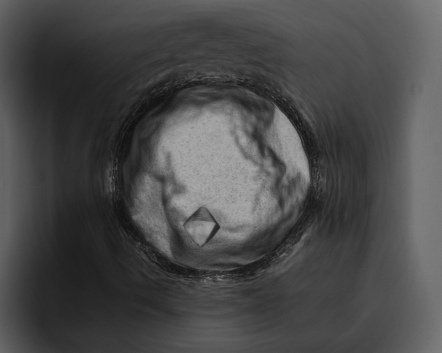 X0000095691490200801291206