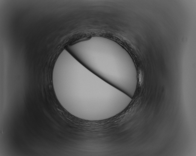 X0000095691492200801291206