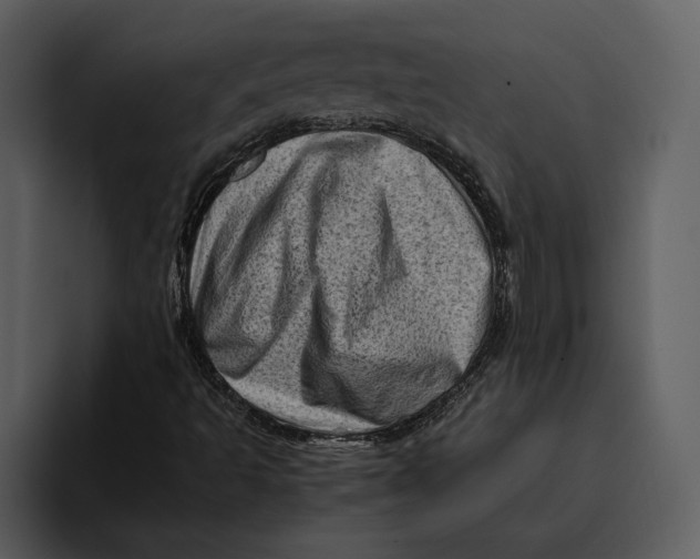 X0000095691493200801291206