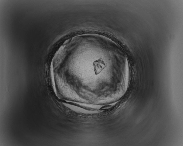 X0000095691494200801291206