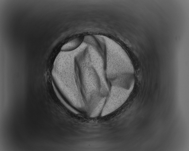 X0000095691495200801291206