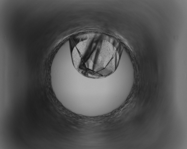 X0000095691496200801291206