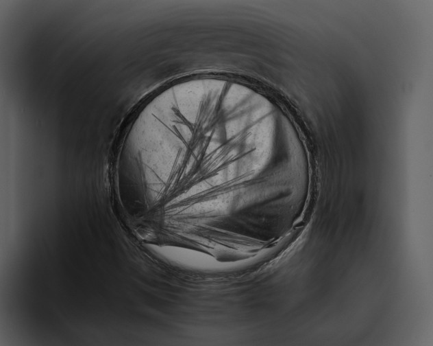 X0000095691497200801291206