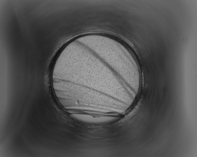 X0000095691501200801291206