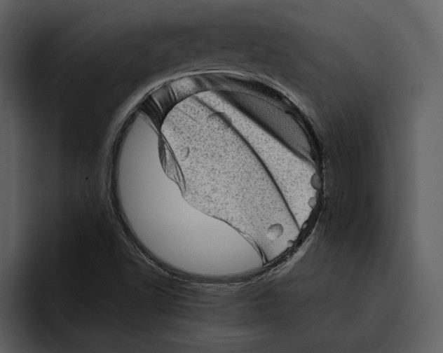 X0000095691502200801291207