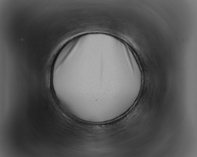 X0000095691504200801291207