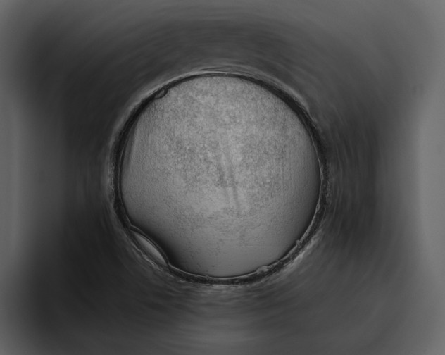 X0000095691506200801291207