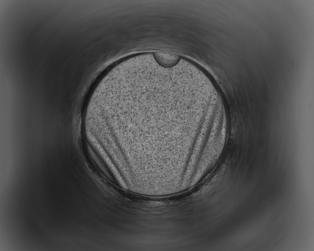 X0000095691507200801291207